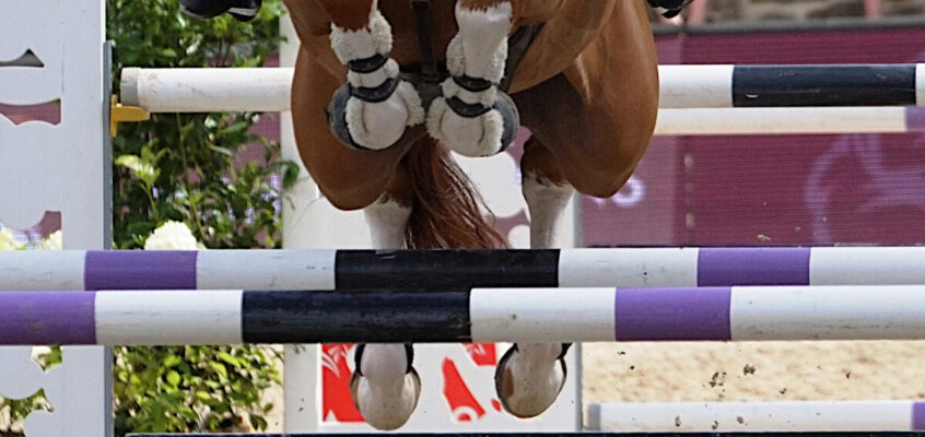 Die Reiter werden im November engagiert: Erstes Team der neuen Premier Jumping League für 50 Millionen $ verkauft, FEI genehmigt Turnierregeln